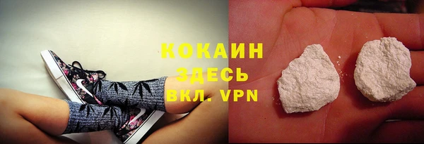 кокс Вяземский