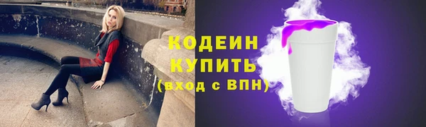 кокс Вяземский