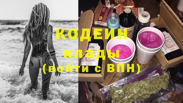 кокс Вяземский