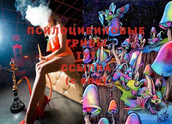 jwh Вязьма