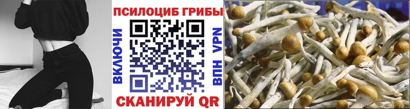 Псилоцибиновые грибы ЛСД Купить закладки Апрелевка