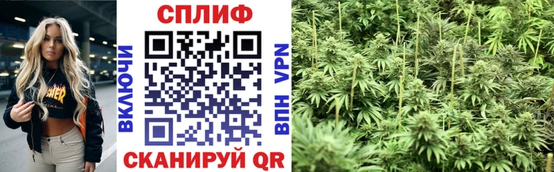 Купить  Апрелевка  Канабис марихуана 